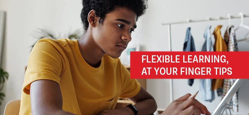 Flexible Online Learning
